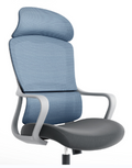 Curve Blue
