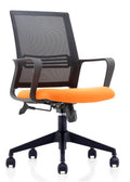 Para Orange